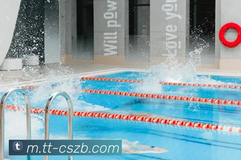 App Interface Preview