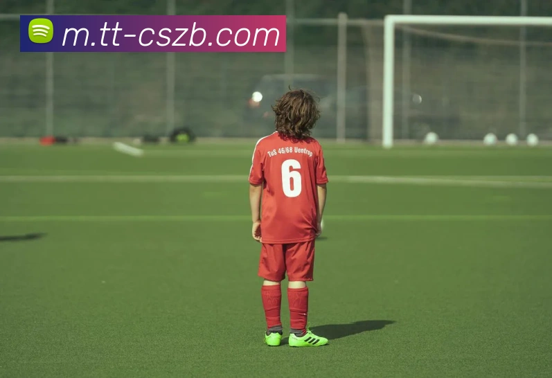 彩神争霸APP 封面图